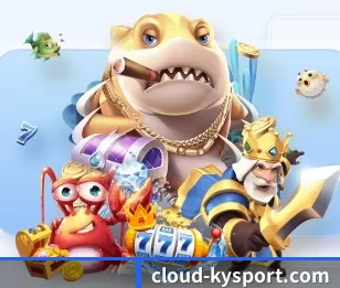 cloud-kysport.com的故事