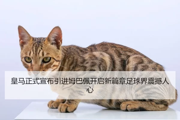 皇马正式宣布引进姆巴佩开启新篇章足球界震撼人心