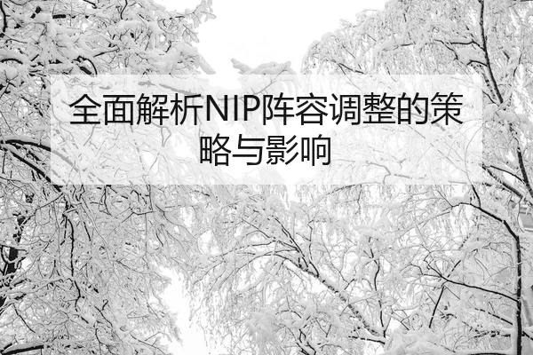 全面解析NIP阵容调整的策略与影响